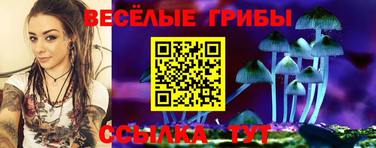 Галлюциногенные грибы мухоморы Железногорск